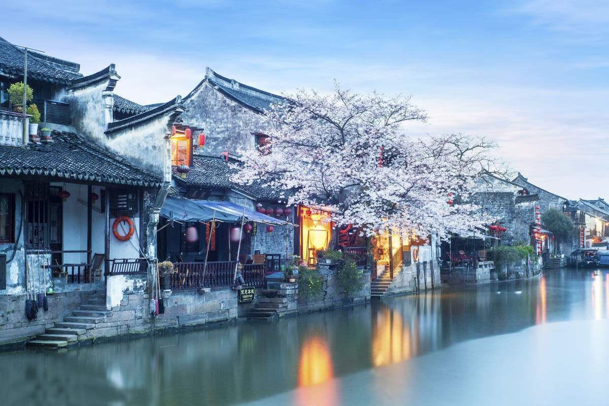 创作猫